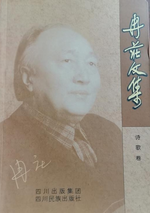 可喜的收获六年级,喜人的收获