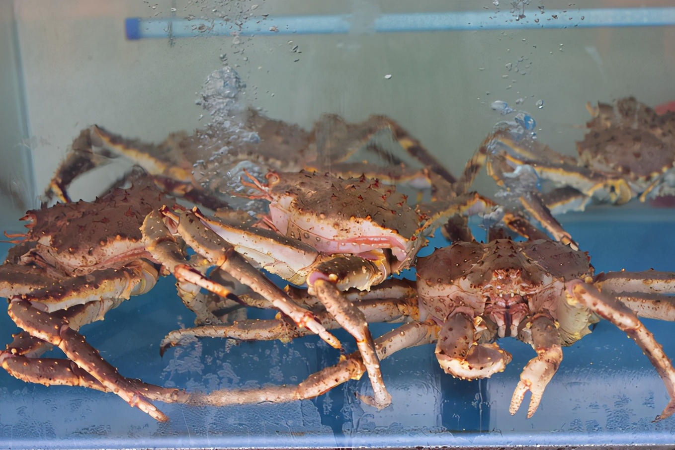 来三亚必吃的海南菜,三亚旅游在哪里吃海南菜