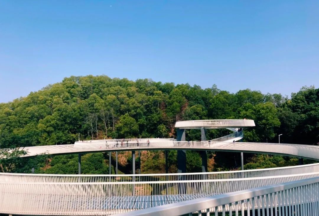 深圳天空之镜网红玻璃桥,深圳玻璃桥免费旅游攻略