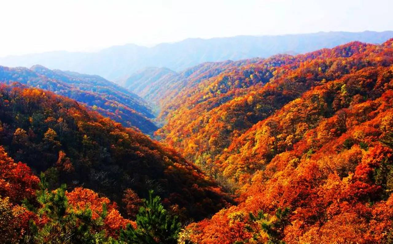 淄博到内陆自驾游,大连到山东内陆自驾游