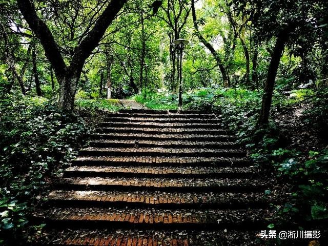 中国最美丽的校园照片,中国最美丽的校园中山大学南校区