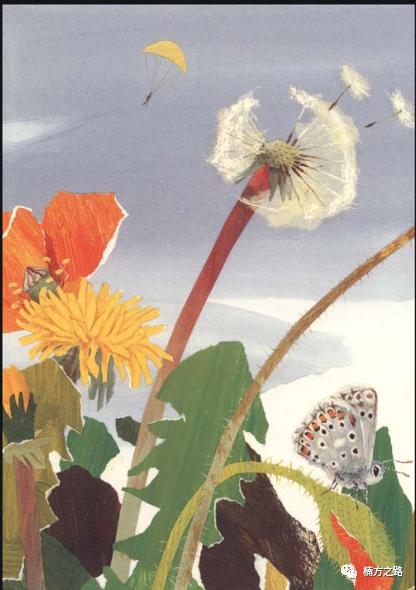 探访菜市场,菜市场探秘