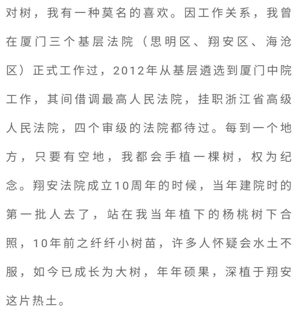 「书香佳韵」厦门市中级人民法院黄鸣鹤：台阶上的皂角树