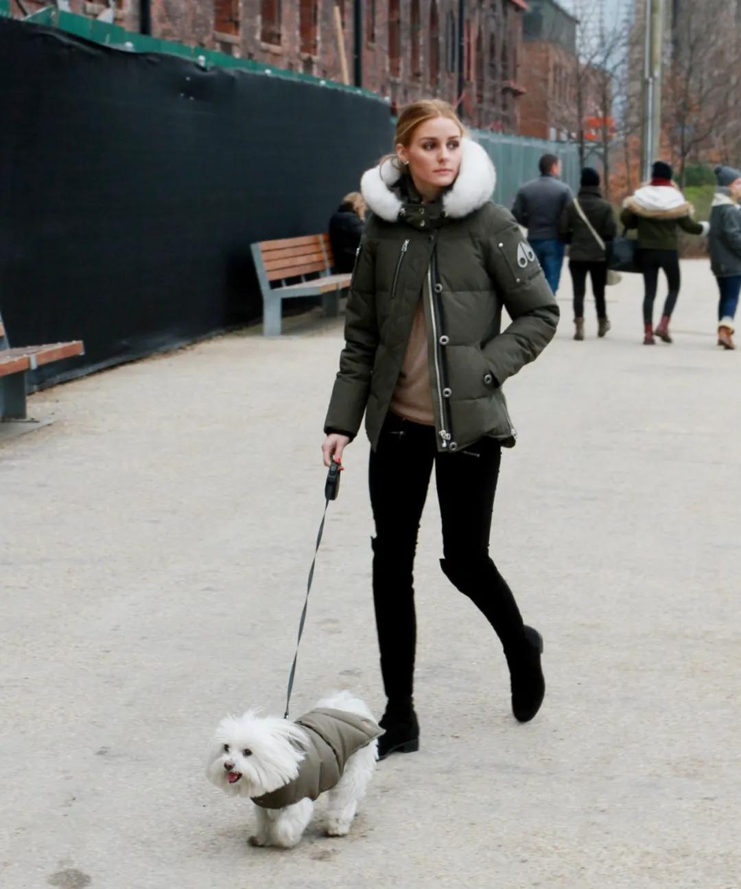 羽绒服鄙视链最顶端的存在,鄙视链最顶端的羽绒服