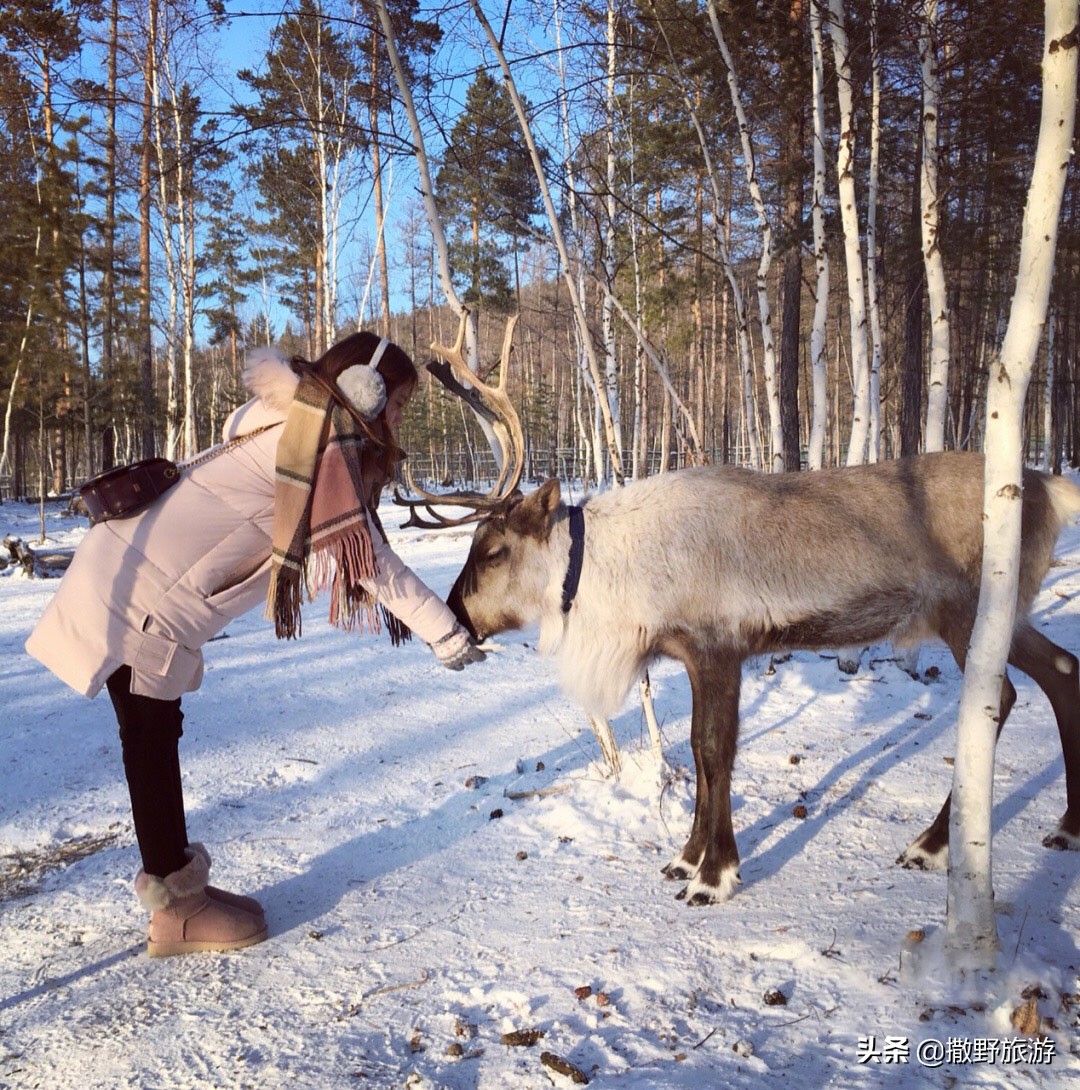 哈尔滨中央大街美食攻略,哈尔滨旅游攻略美食24小时营业