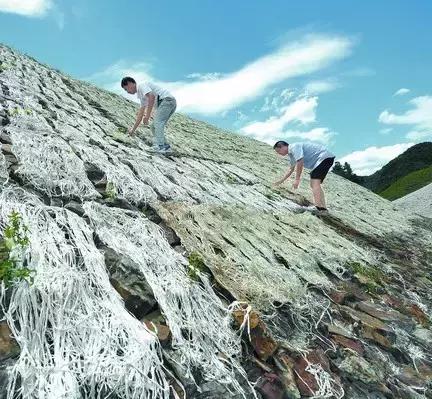 文房四宝的制作材料和独有特征,原来宣纸是这样制作的