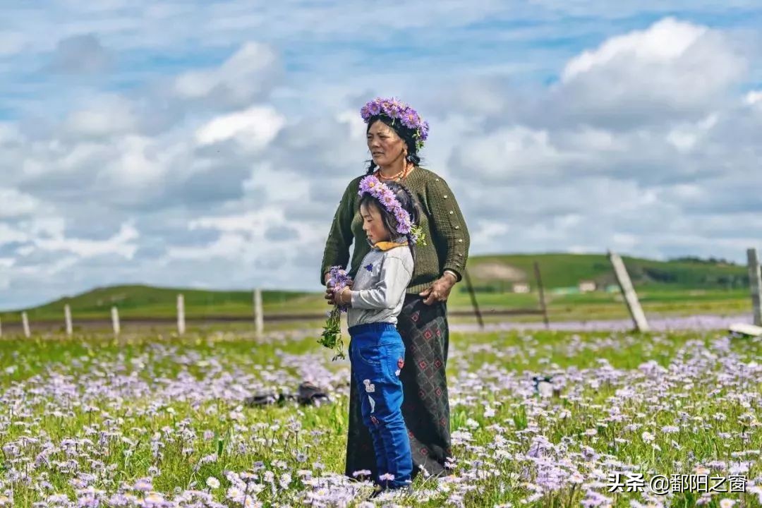 四川若尔盖，中国最美的高寒湿地草原，川西北高原上的绿洲