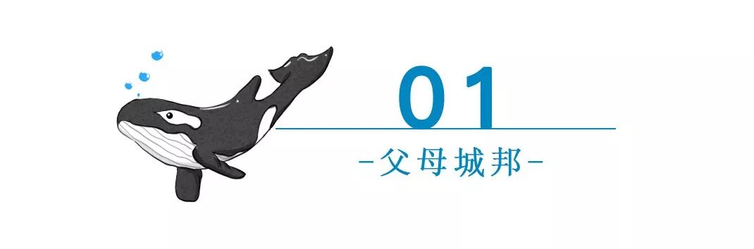 孩子说话不完整的技巧,小孩说话太直接了怎么教