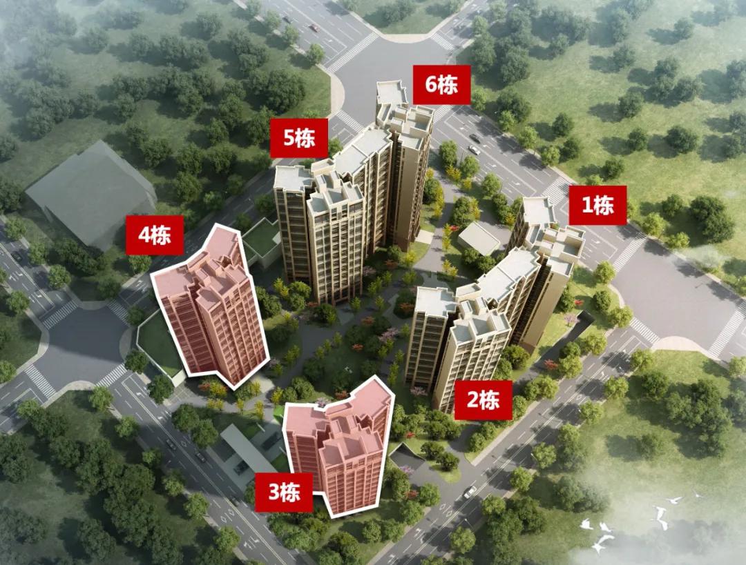 哭了!跑了一趟石岐,涨价比降价多