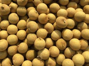 桂圆服用法,吃桂圆正确吃法