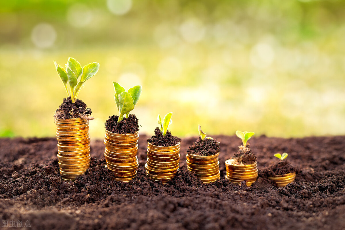 理财小白怎样轻松入门投资,理财小白应该怎么开始学习理财