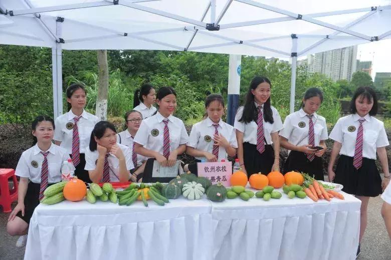 坭兴陶钦江古龙窑,钦江古龙窑开窑底款