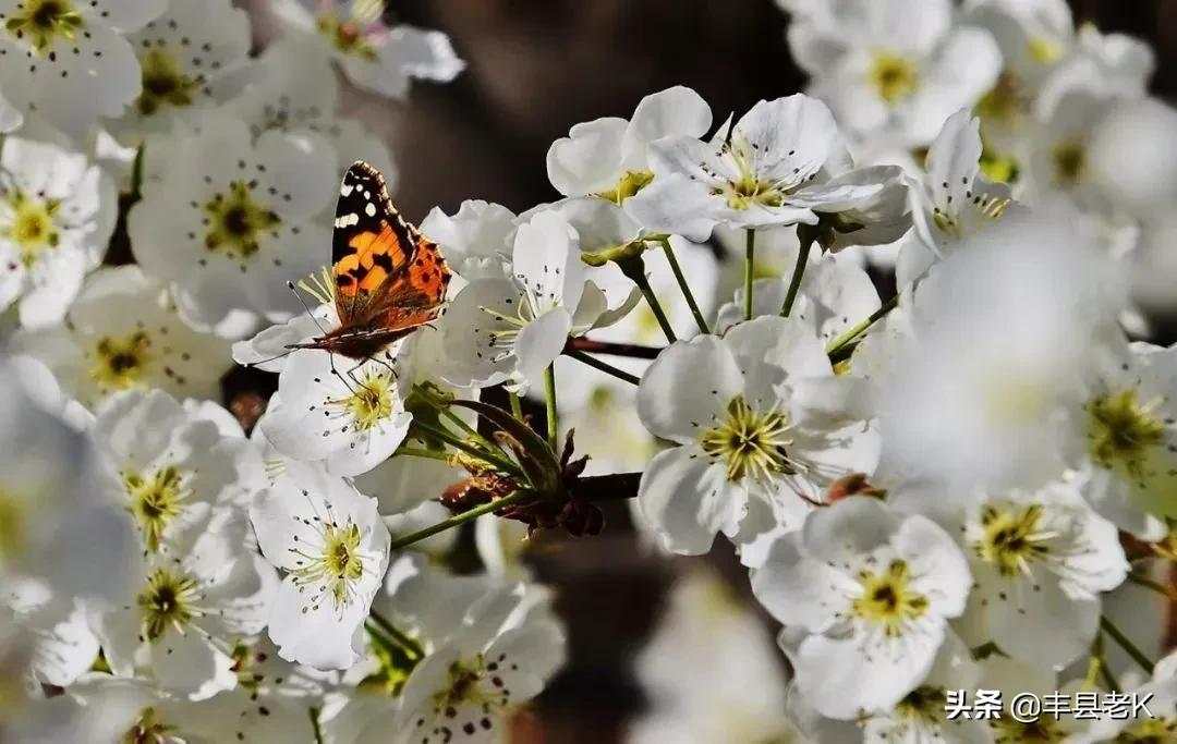 外地人眼中的城市vs真实的城市,外地人眼中的江苏vs实际上的江苏