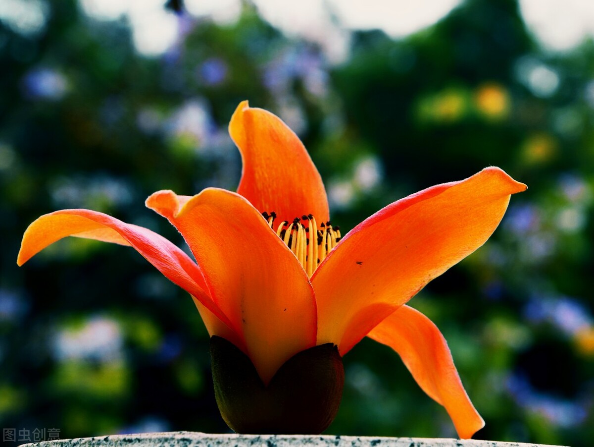 马云第三次创业失败原因,马云创业经验与教训