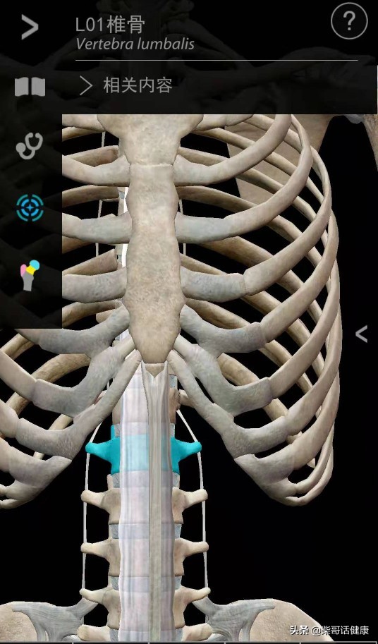 用3D来脊柱体表定位简单多了