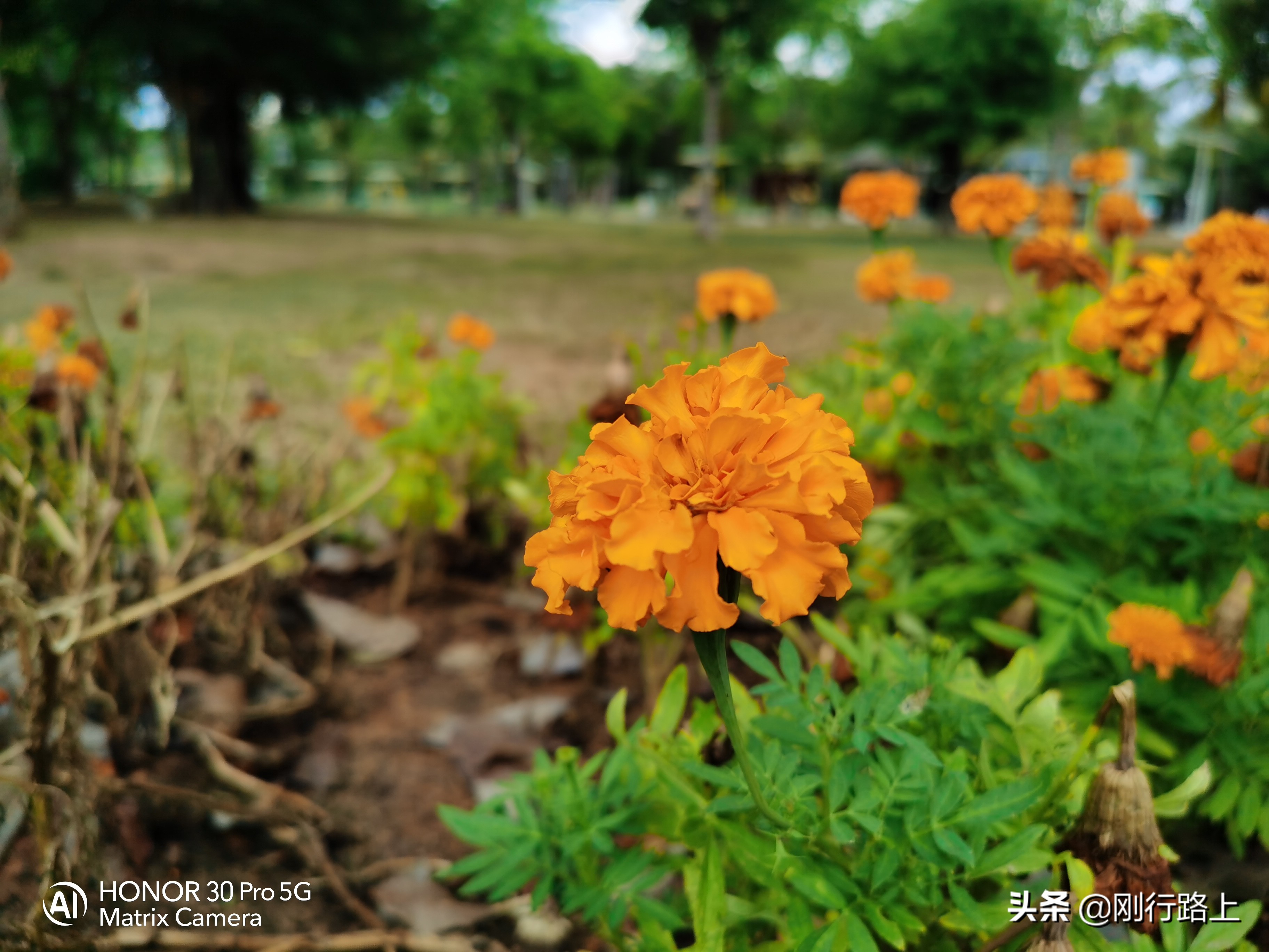 三亚风景美图美女,三亚风景美图高清壁纸