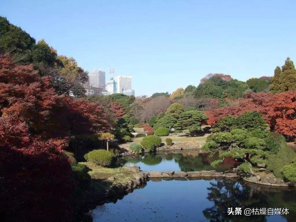 日本蚊子黑科技,灭蚊子神器日本