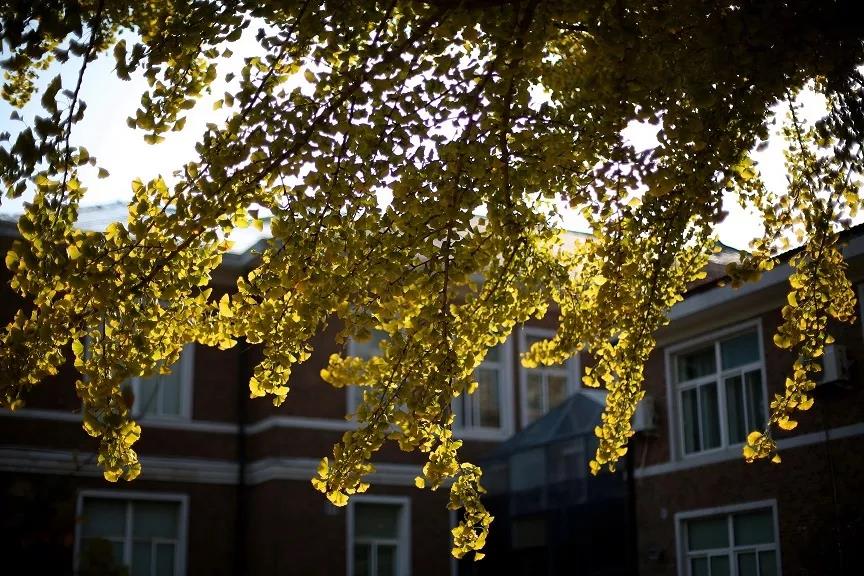 大连庄河市不收门票景点,大连不收门票的沙滩