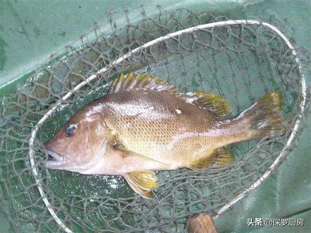 海鲜大荟萃,常见贝壳类海鲜