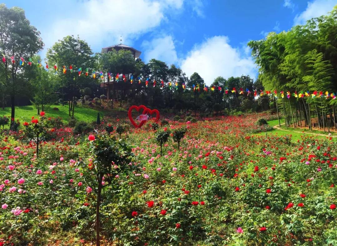 长沙松鼠园游玩攻略,端午长沙再成旅游热门目的地