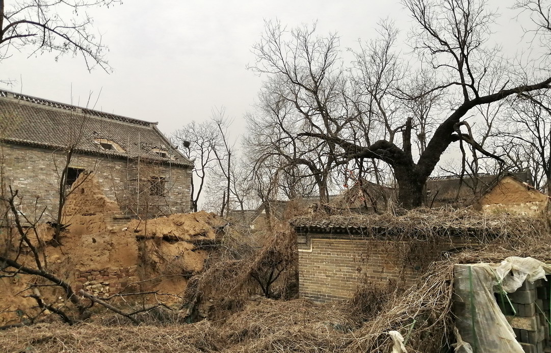跟着老吴看世界,跟着老杨看风景