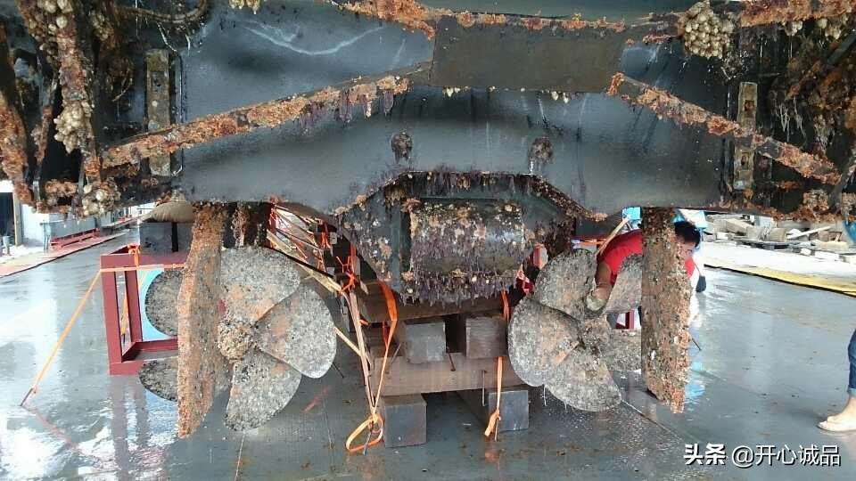 极限工作之船底清洁：虽说大船底能刮好几十吨海鲜，你敢去吃吗？