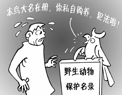 鍙︾被钀屽疇甯傚満涔辫薄璋冩煡,鍙︾被钀屽疇2019