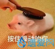 黄冈最低工资,湖北黄冈2014年最低工资标准数据