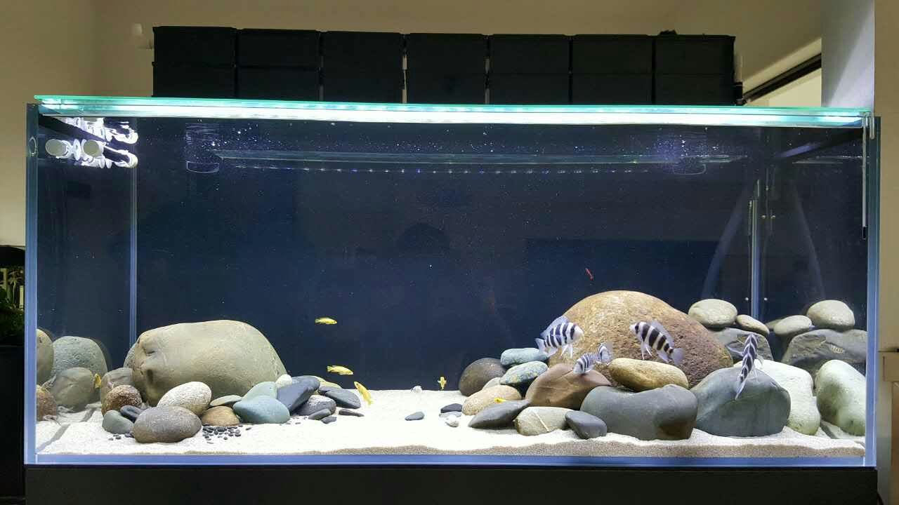 关于过滤的知识,过滤的方法和注意事项