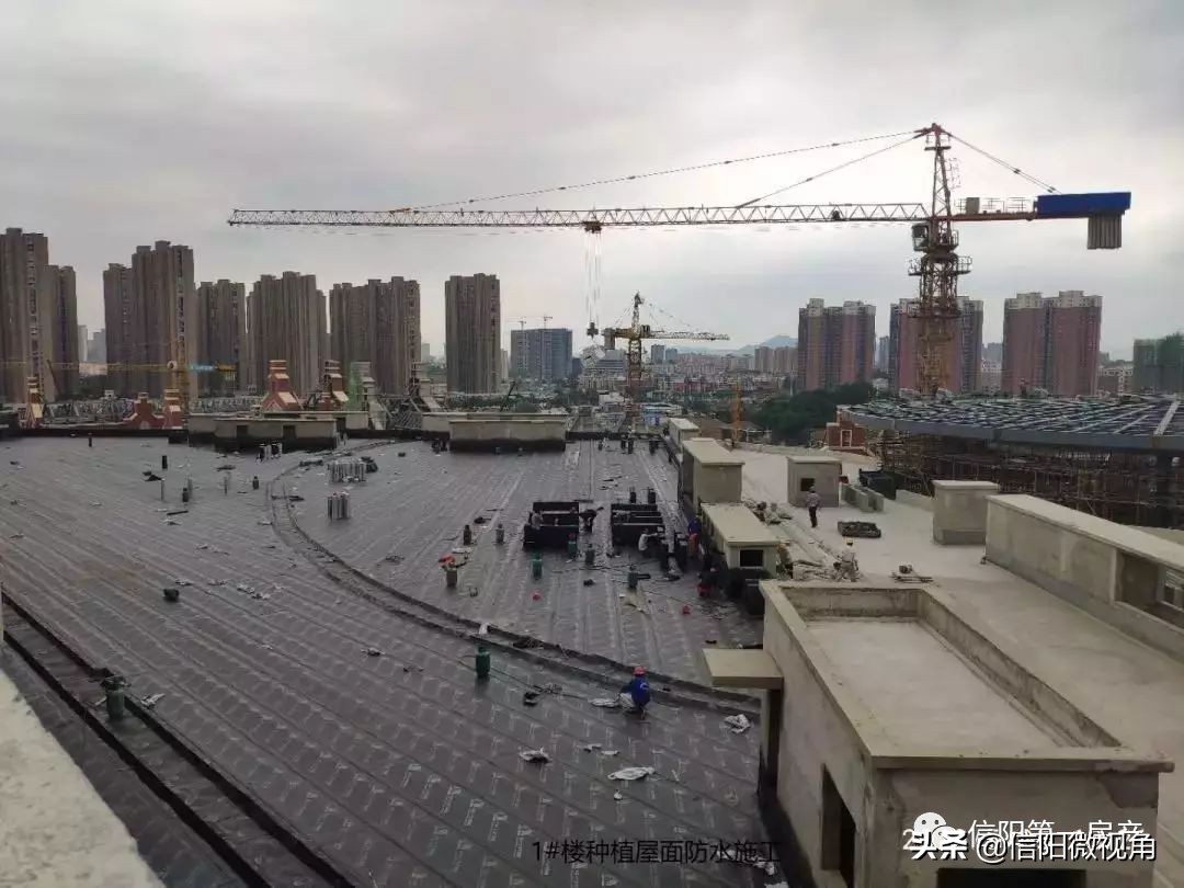 信合战略新里程信阳和兴阳光城华美蜕变涅槃重生（图）