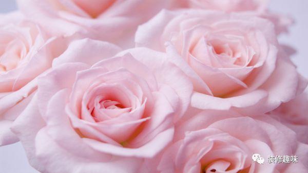 打鸡血的励志名言短句,比较鸡血的励志语录短句