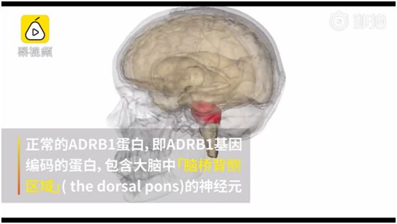 抑郁症做睡眠治疗,睡眠改善了抑郁症就好了