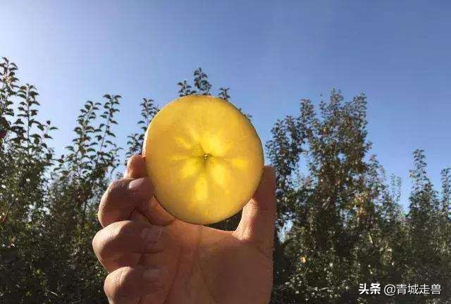 补钙补锌促发育,儿童生长缓慢什么食物补钙最好