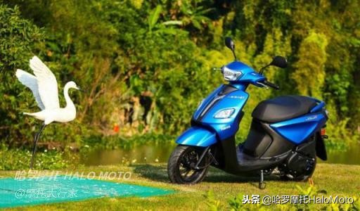 哈啰测评,哈罗评车