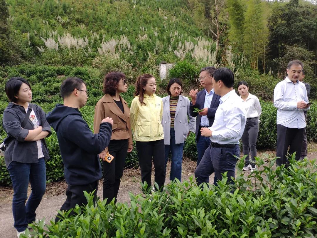 鐧捐儨涓浗瀹夊窘鍏徃,鐧捐儨涓浗瀹夊窘