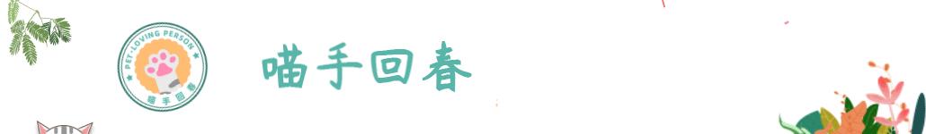 哈士奇被奶奶喂饭真吃不下去了,哈士奇吃不吃没关系