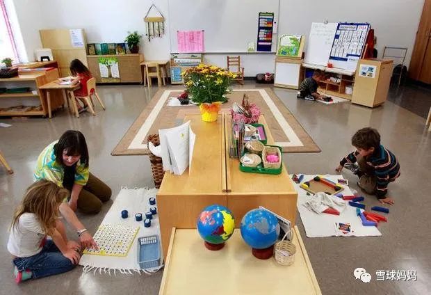 华德福瑞吉欧蒙氏,华德福蒙氏瑞吉欧的区别