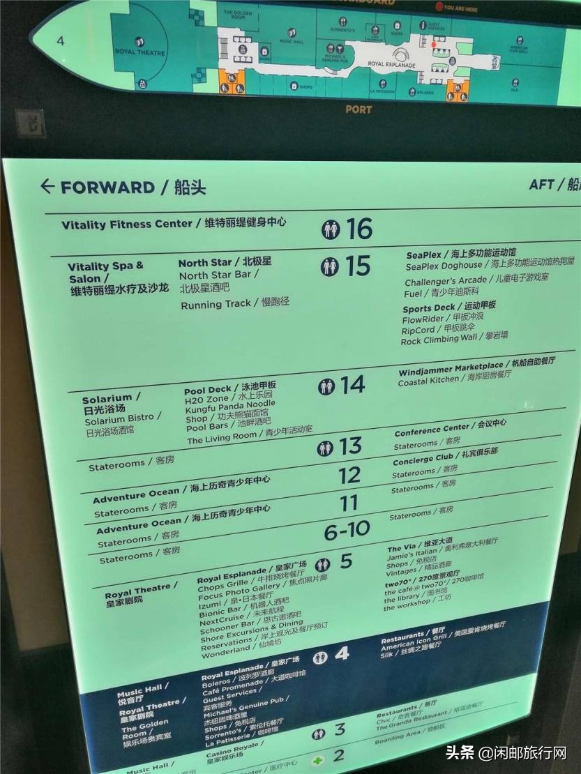 带着老人们去邮轮旅游,带长辈去邮轮