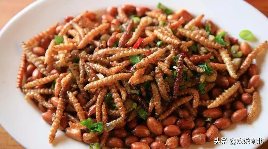 地道美食酥炸竹虫推荐,北方无法接受南方七大美食排行榜