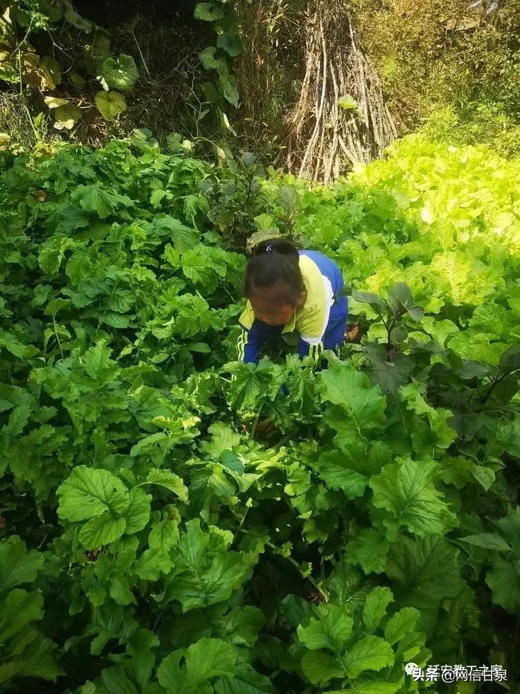 金太阳幼儿园校门,延安市甘泉谢金庄幼儿园