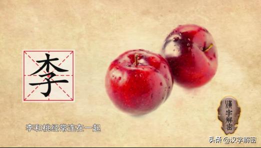 李姓朋友注意：《说文解字》中，竟是如此解释“李”字，值得收藏