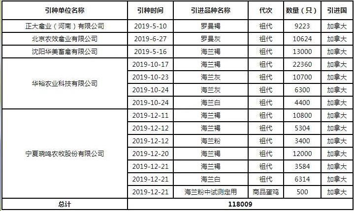 大型种鸡养殖基地,百万种鸡养殖孵化基地