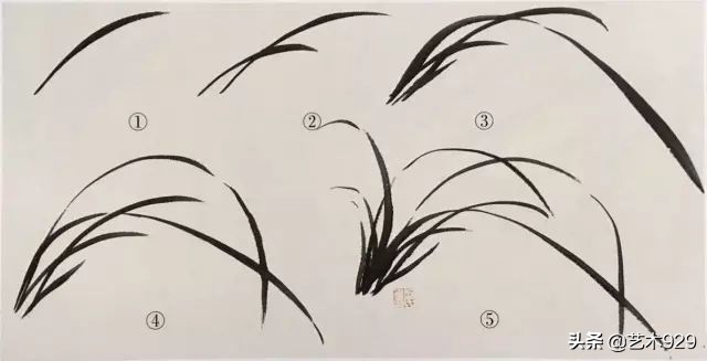 国画兰花画法免费技法教程,国画兰花绘画图