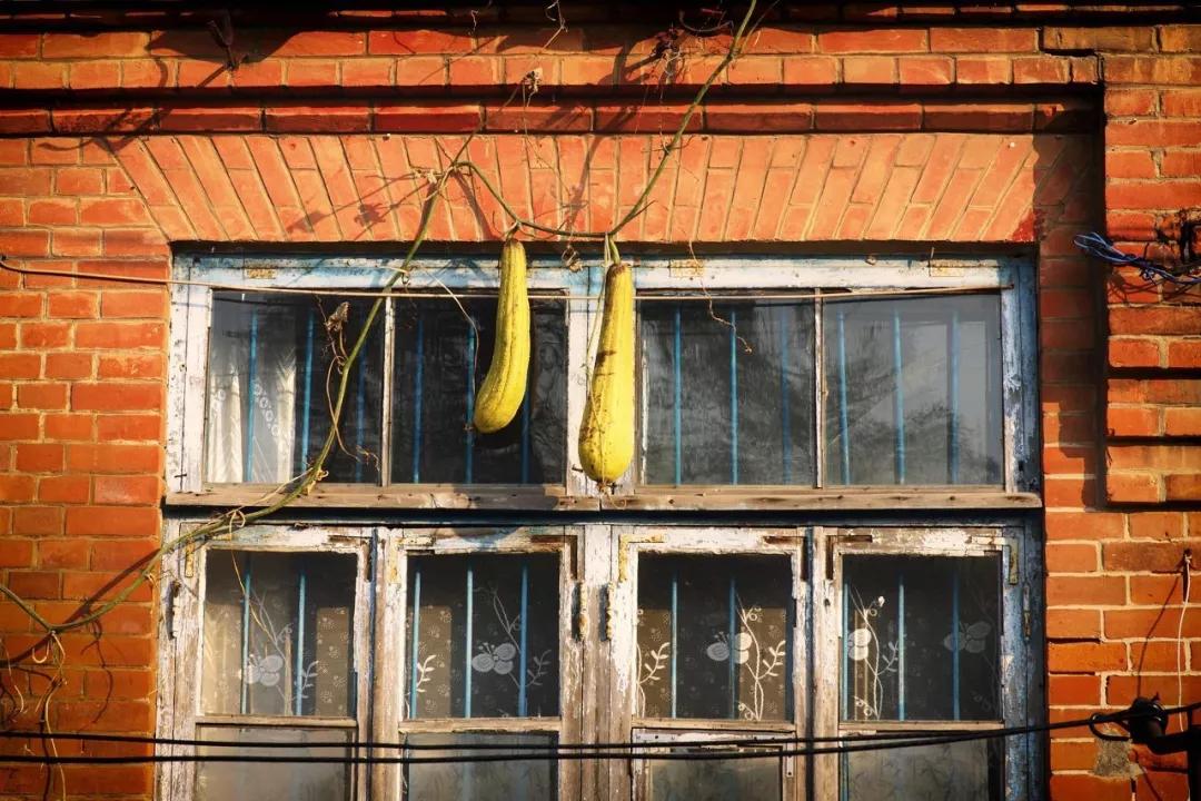 旅游三亚和厦门哪个更值得去,三亚和厦门哪个更值得去三亚旅游