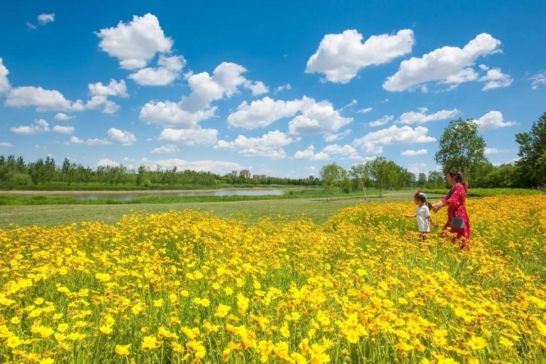 早读天津,今日早读天津