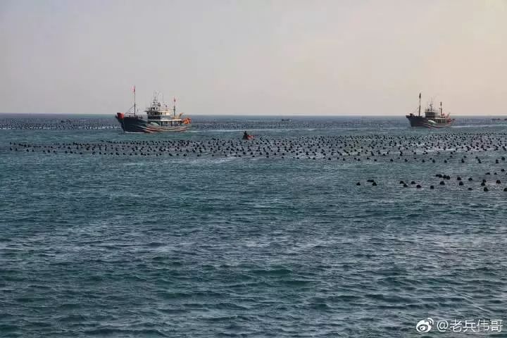 蓝海的诱惑——来自一个叫柏岚子的地方……
