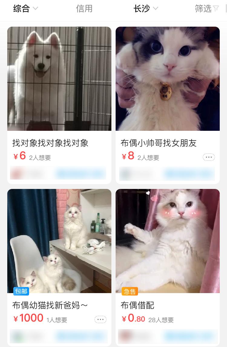 闲鱼app曝光,闲鱼app图片个性