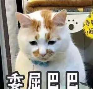 广州批发服装市场有哪些坑,服装批发市场避免踩坑男装