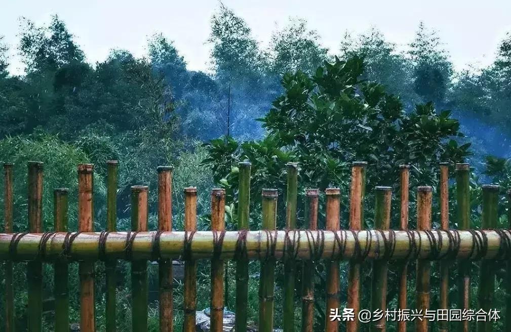 农学院对乡村振兴的促进作用,半农学院