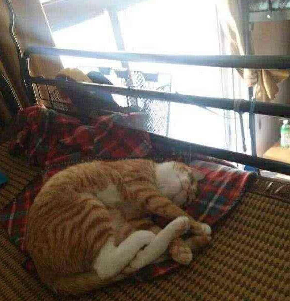 大学宿舍里人才辈出，寝室养猪我忍了，纯牛奶泡脚是认真的吗？